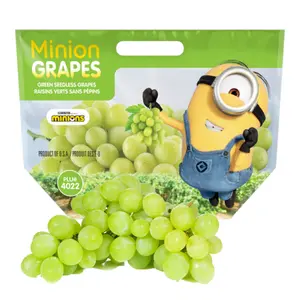 Nho Xanh Không Hạt Mỹ - Minion Grapes - Sugrathirtyfive Autumn Crisp - Green Seedless Grapes - DAYKA & HACKETT